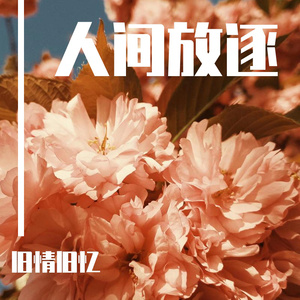 gv在线观看网址
